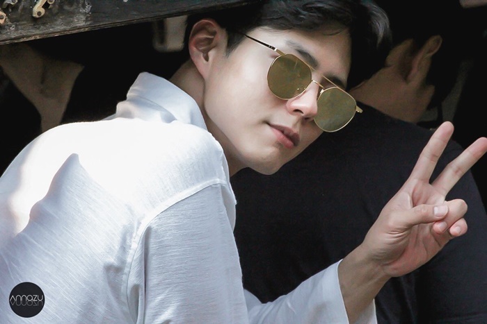 parkbogum (4)