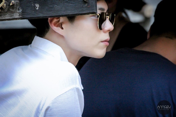 parkbogum (6)