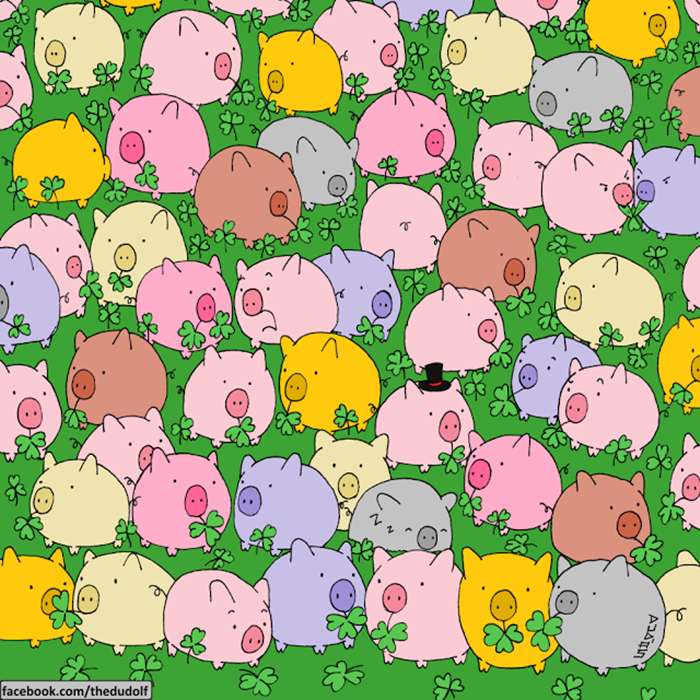 clover