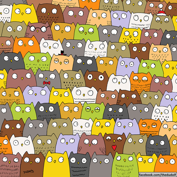 owl