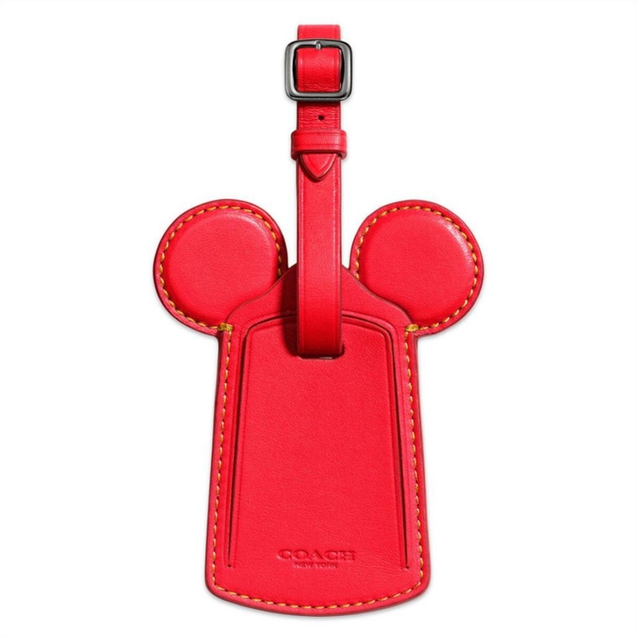 Disney-x-coach-12