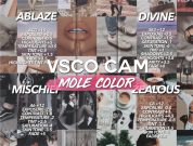 vsco mole color