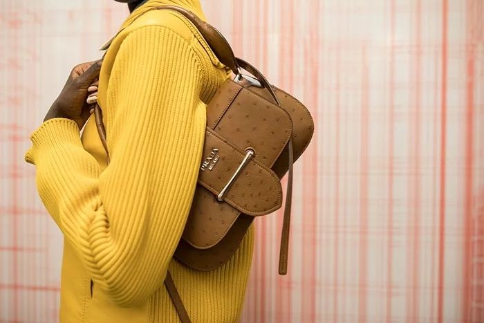 Prada-Resort-2019-Bags-7