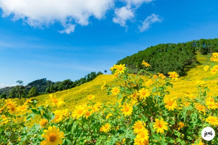 batch_0shutterstock_1219889515